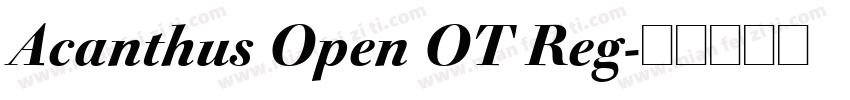 Acanthus Open OT Reg字体转换